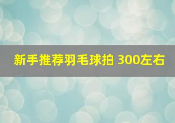 新手推荐羽毛球拍 300左右